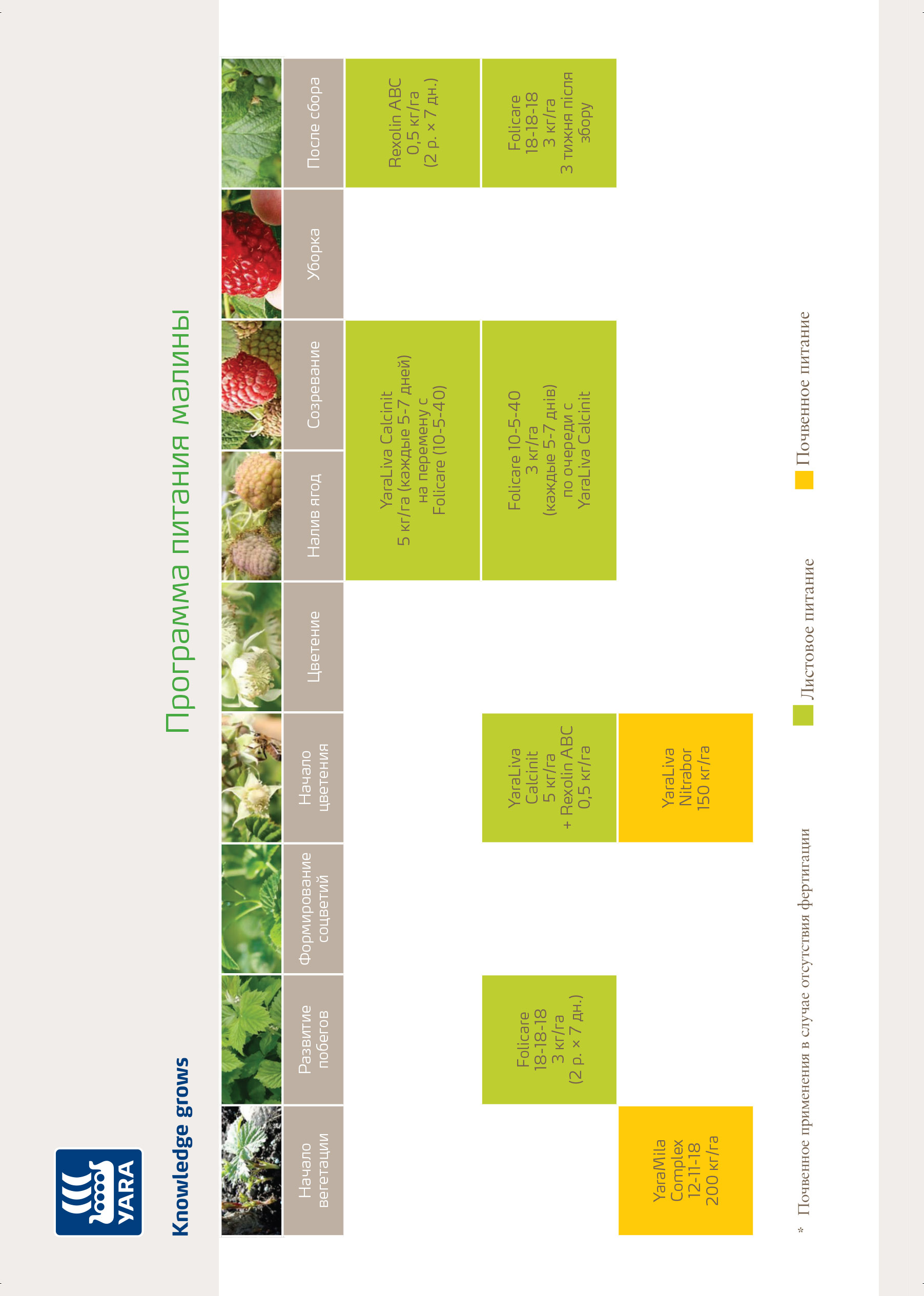 Расписание рязань фруктовая. Схема удобрения ремонтантной малины. Схема минерального питания малины. Схема подкормки удобрениями малины. Схемы подкормка ремонтантной малины.