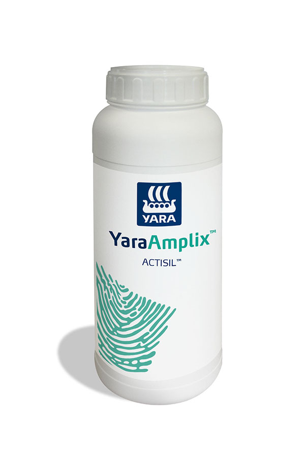 ЯраАмпликс