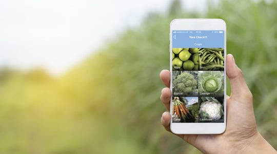 Инструменты и сервисы