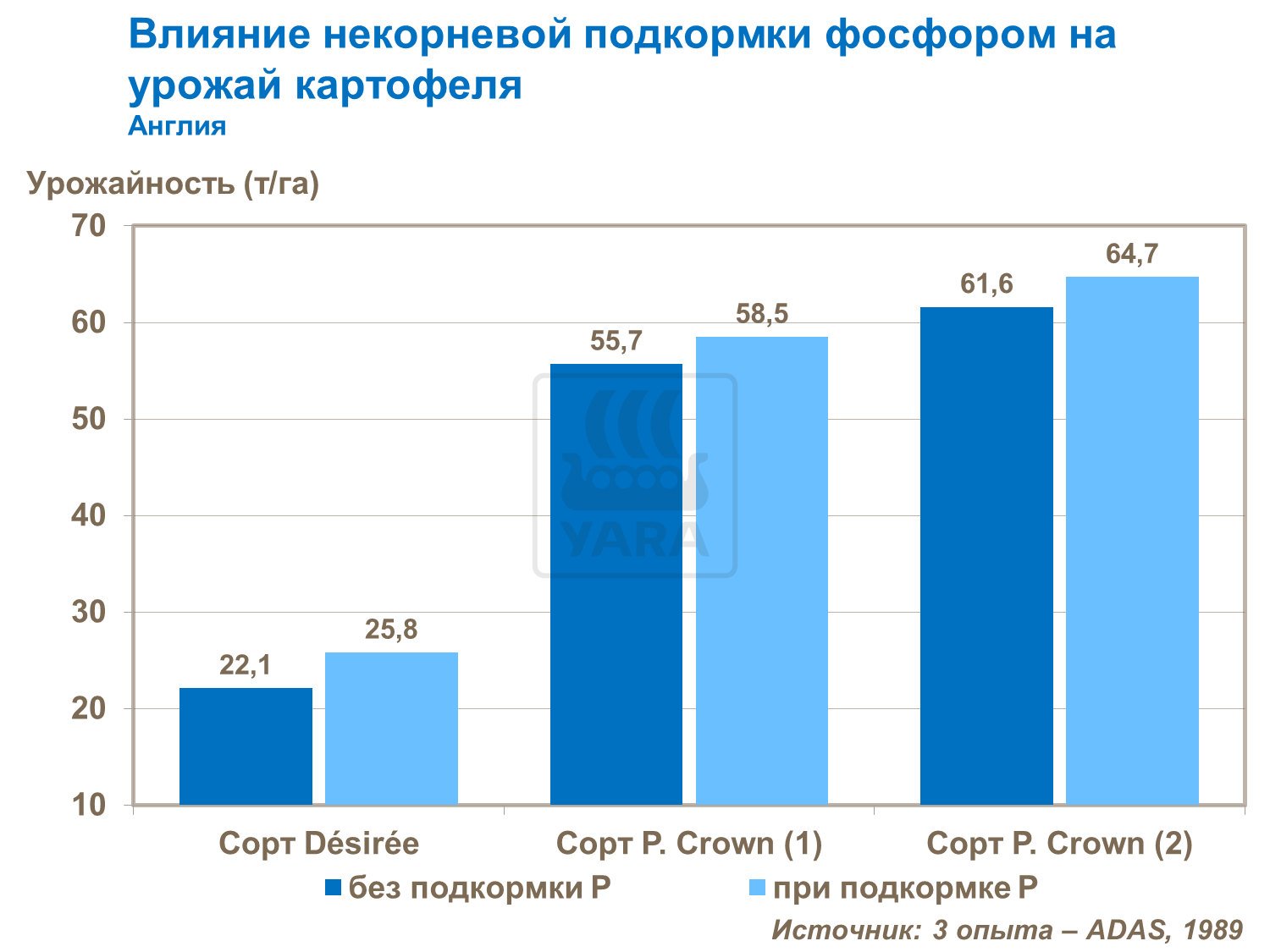 влияние фосфора на размер клубней