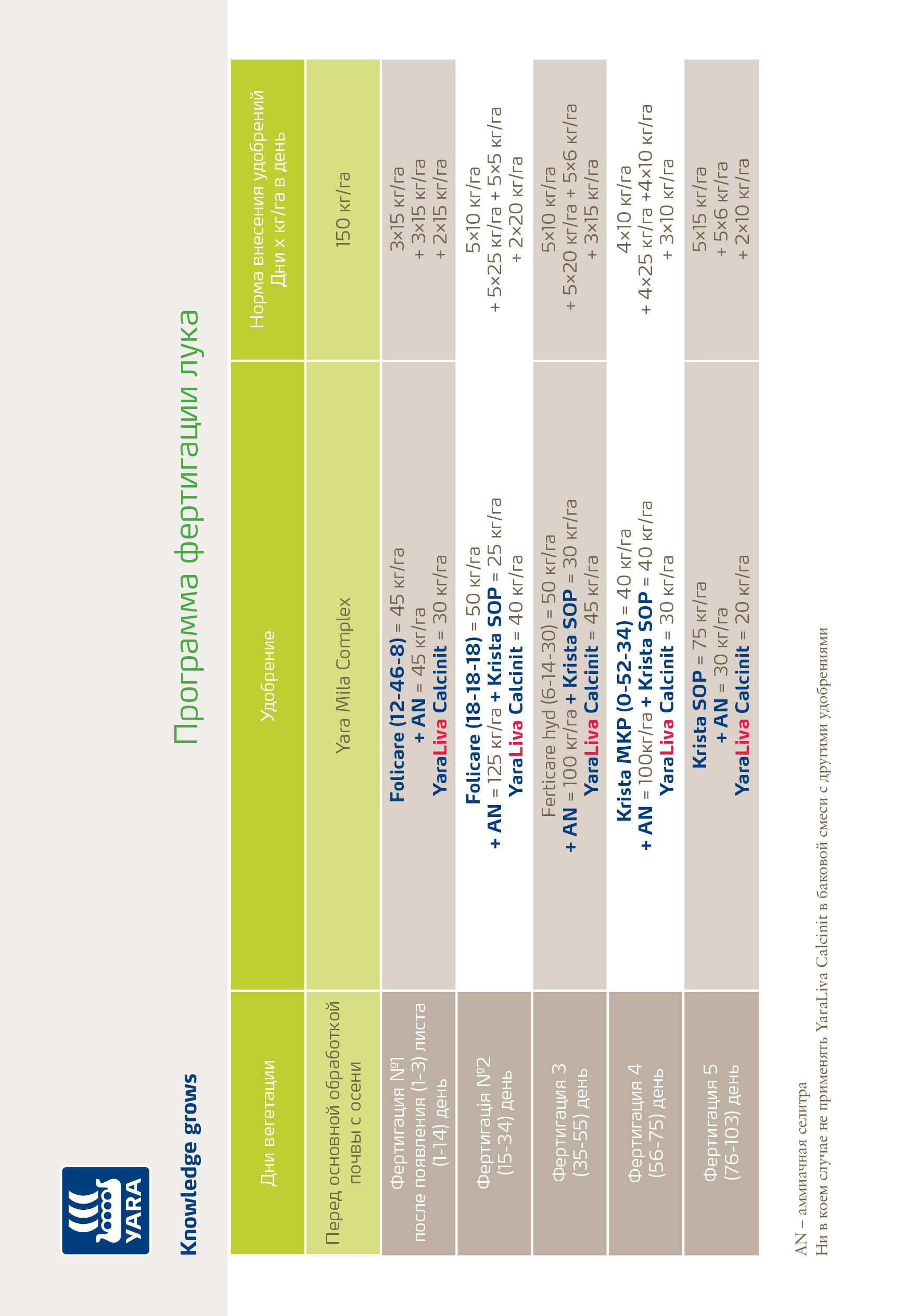 Фертигация лука