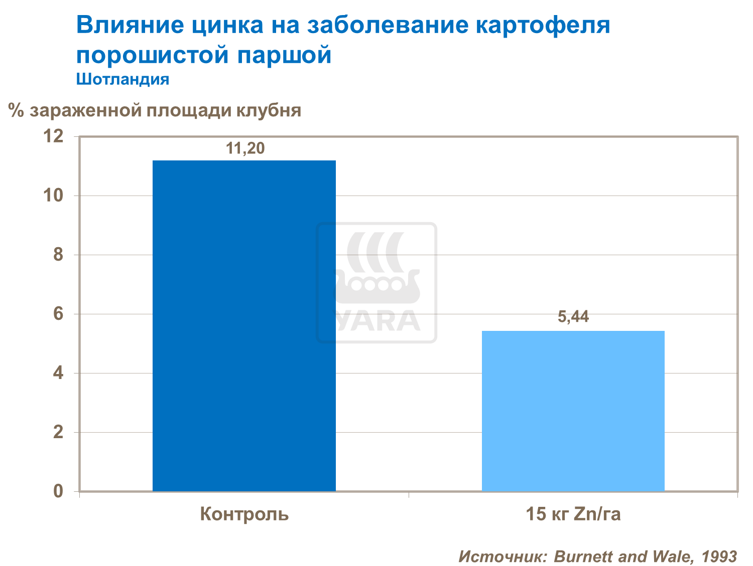 Влияние цинка