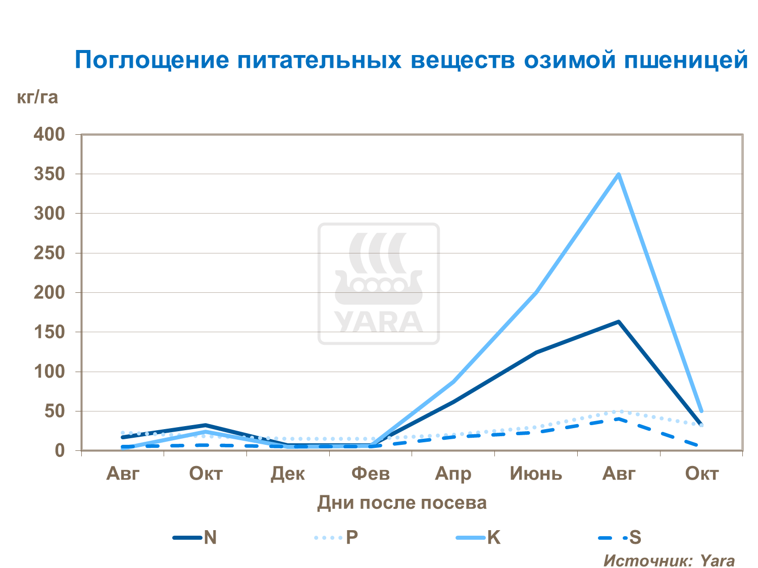 Поглощение питательных веществ озимой пшеницей