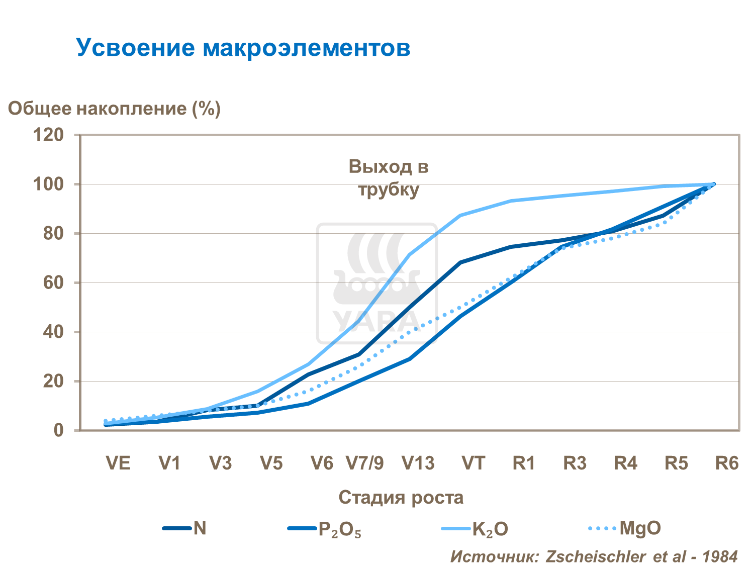 Усвоение макроэлементов кукурузой