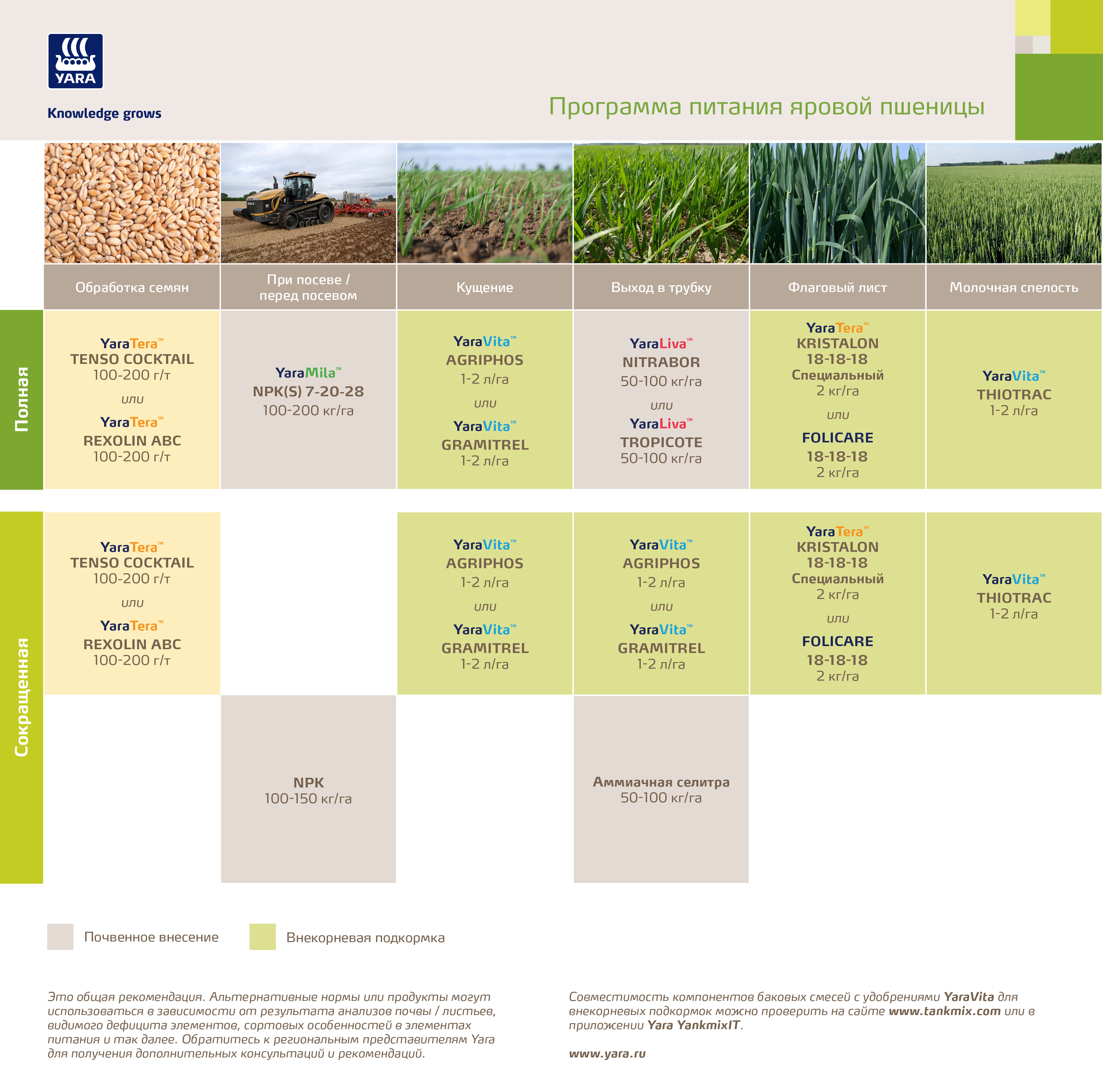 Программа питания яровой пшеницы
