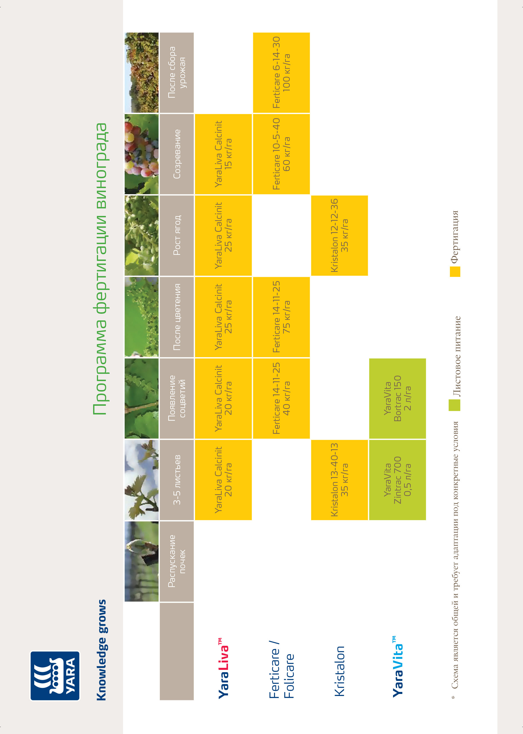 Фертигация винограда