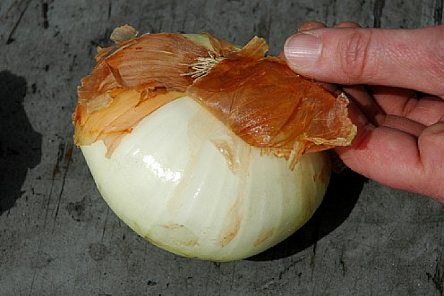 Кислая чешуя