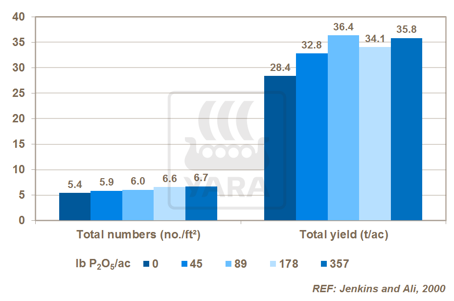 Влияние фосфора