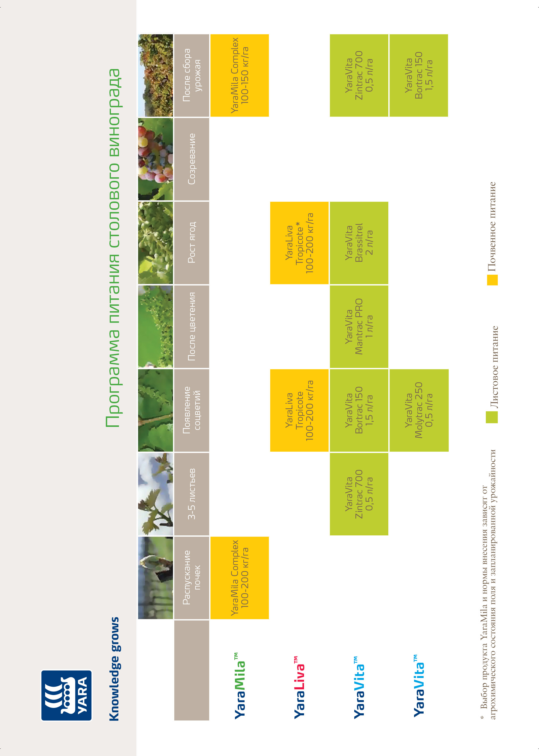 Питание винограда