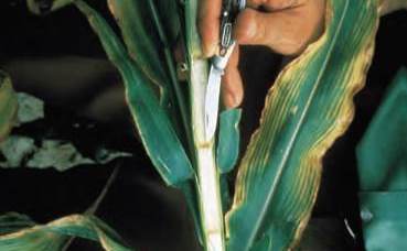 Дефицит калия