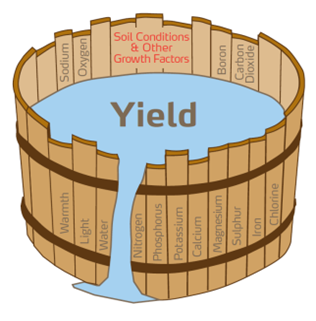 Пшеница - Баланс питательных веществ