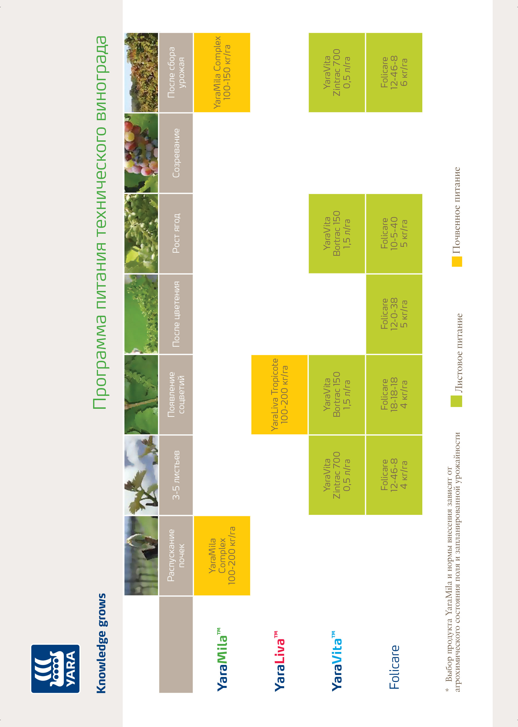 Питание винограда