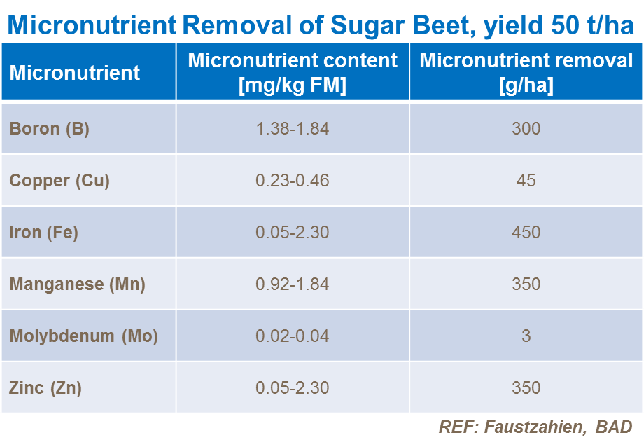 Питание свеклы 3