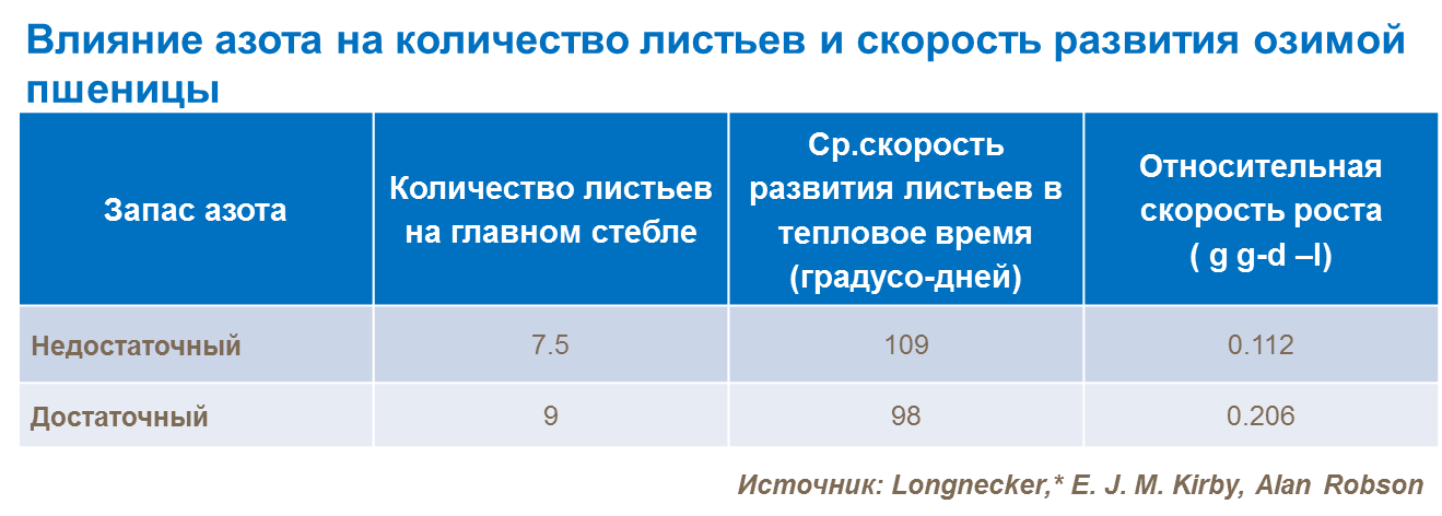 Влияние азота на количество листьев и скорость развития озимой пшеницы