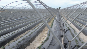 Пластиковый туннельный каркас