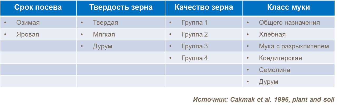 Классификация пшеницы