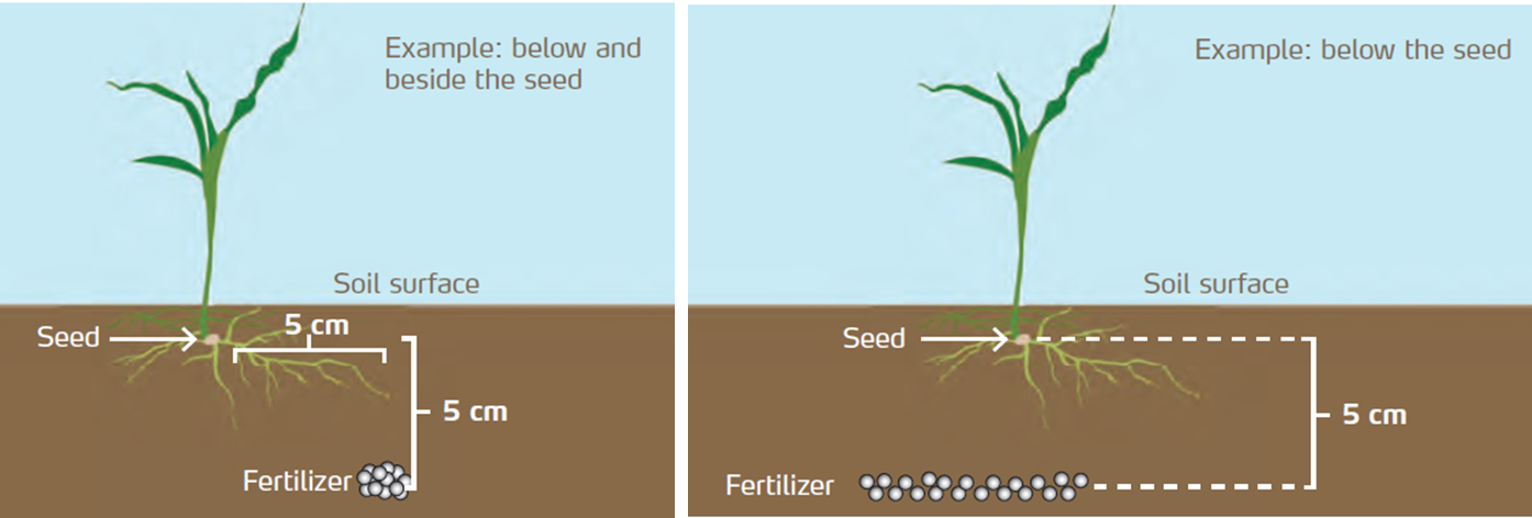 Внесение удобрений таблица 2