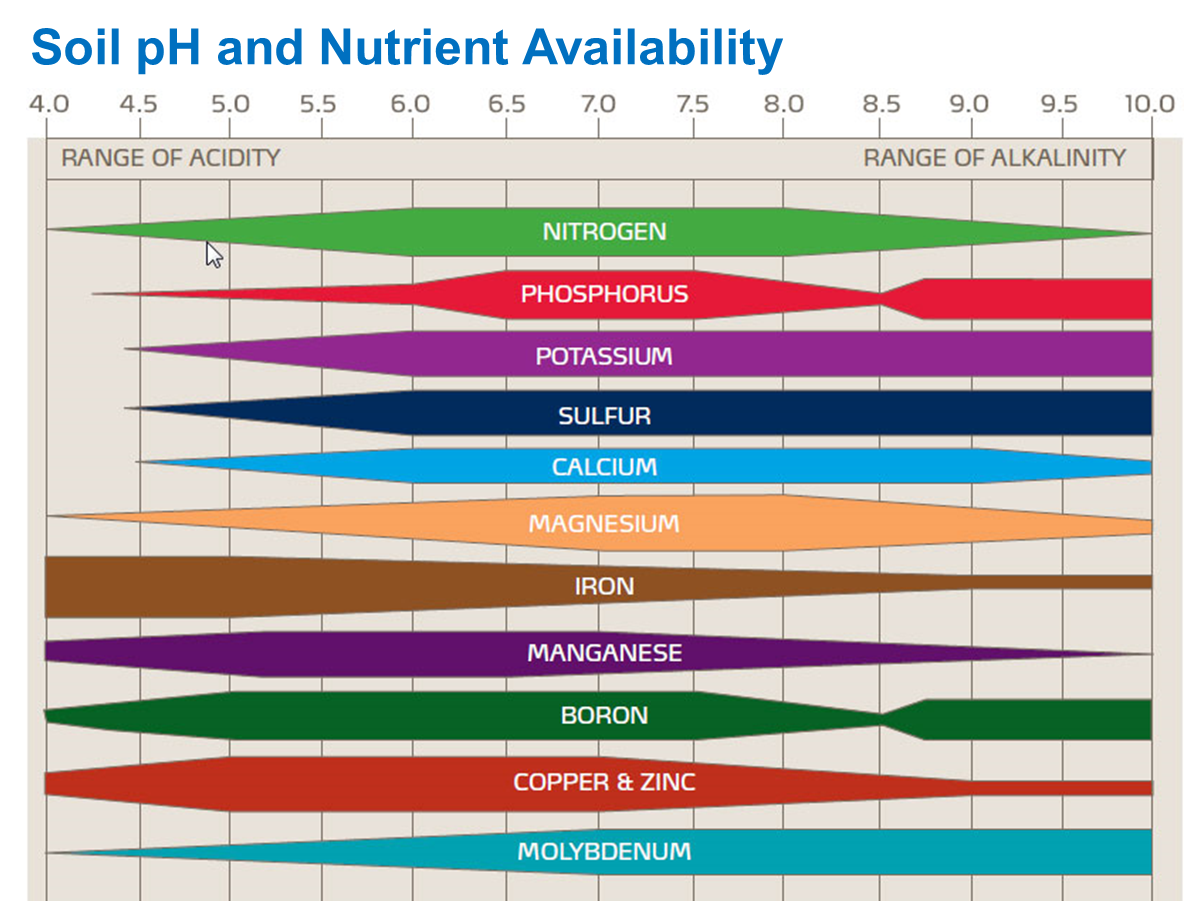 Soil Ph and Nutrient
