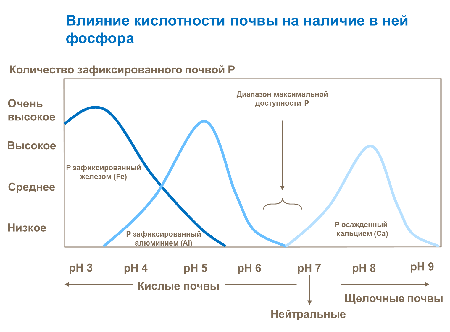 Влияние кислотности почвы на наличие в ней фосфора