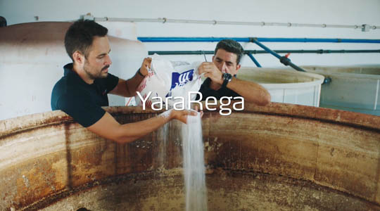 YaraRega